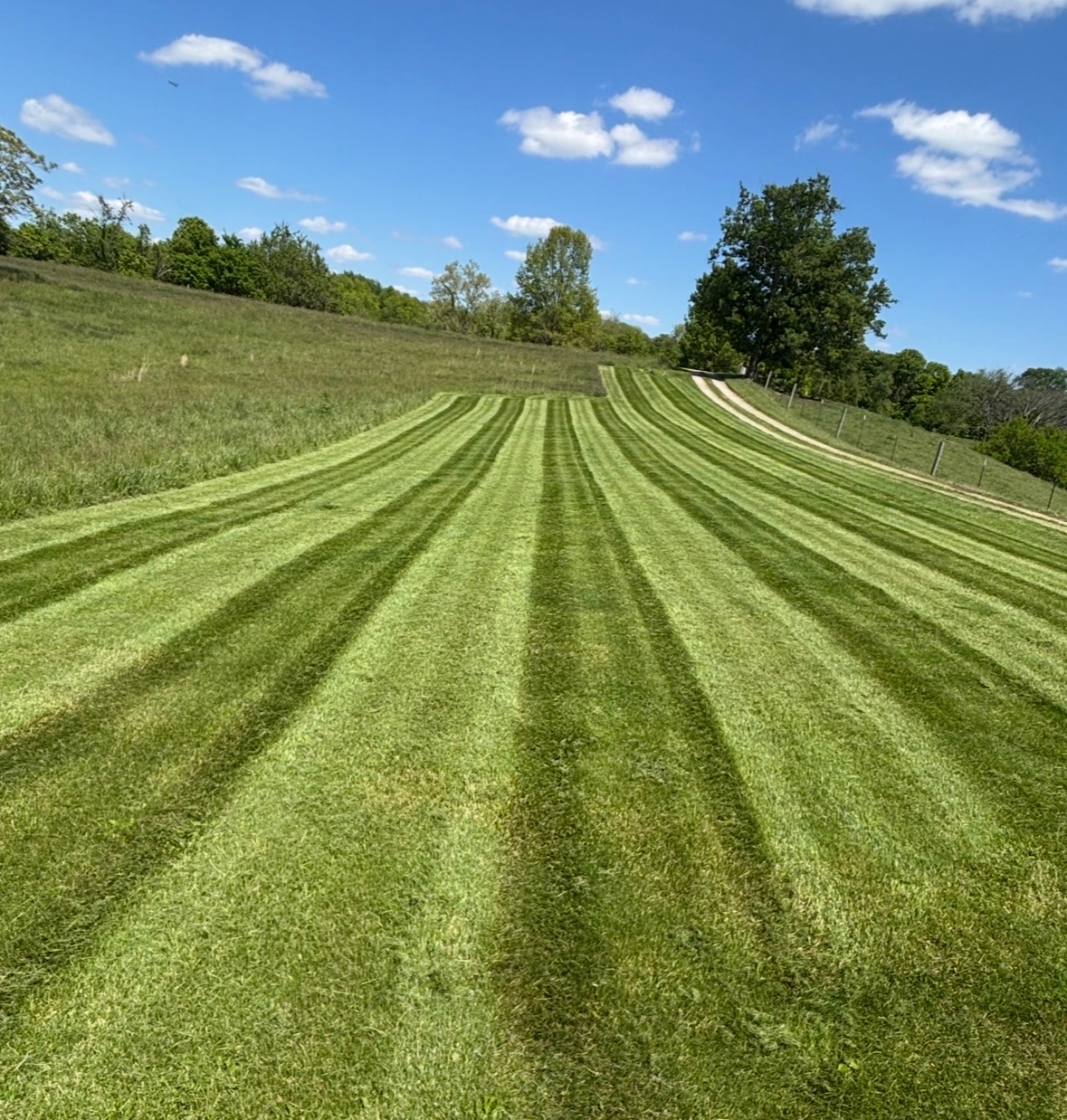 Sweeping hillside lawn with clean mowing stripes under a blue sky