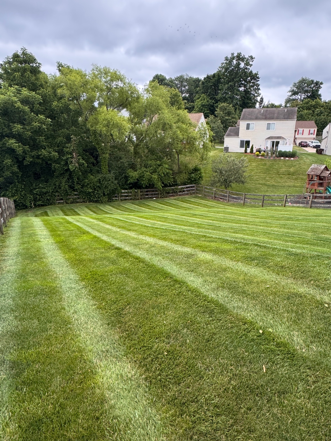 Backyard lawn with crisp alternating mow stripes along a wood fence