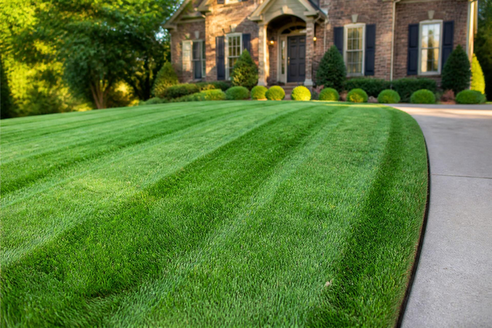 Freshly manicured green lawn with striped mowing lines and manicured landscaping